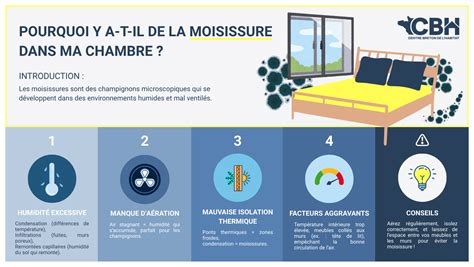 Schéma des causes de l'humidité et de la moisissure dans une maison