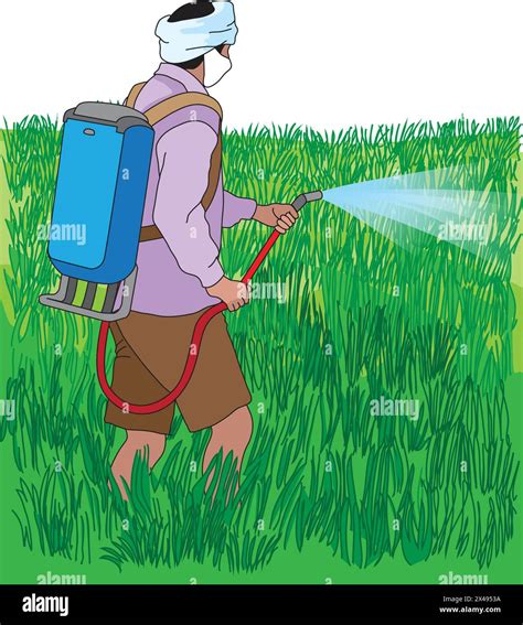 Illustration des méthodes d'injection de produit insecticide dans le bois