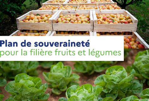 Schéma des objectifs du Plan de souveraineté fruits et légumes