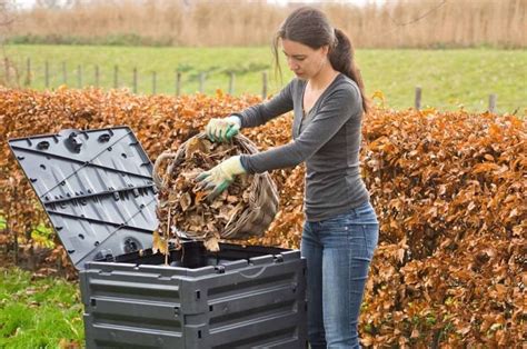 Barquettes BIOPAP® en cours de désintégration dans un composteur domestique