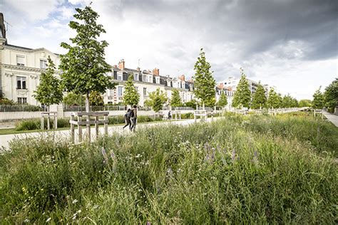 Changement de la conception des espaces verts en ville