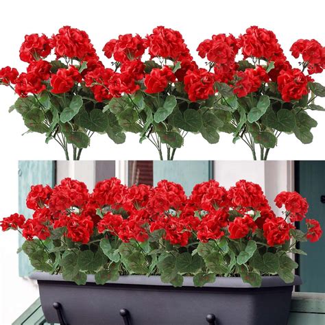 Illustration d'un balcon fleuri de géraniums rouges vifs