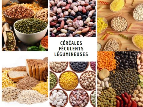 Assortiment de céréales et légumineuses