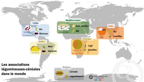 Carte du monde illustrant les associations traditionnelles céréales-légumineuses par région