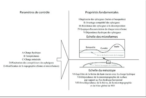 Schéma des trois propriétés fondamentales de border