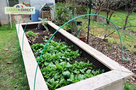 Illustration d'un filet anti-insectes sur des arceaux dans un potager
