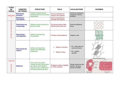 Tableau comparatif des types de tissus moustiquaires et leurs spécificités