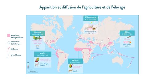 Carte des origines et de la diffusion mondiale de la tomate