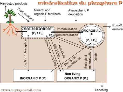 Influence du climat sur la minéralisation du fumier