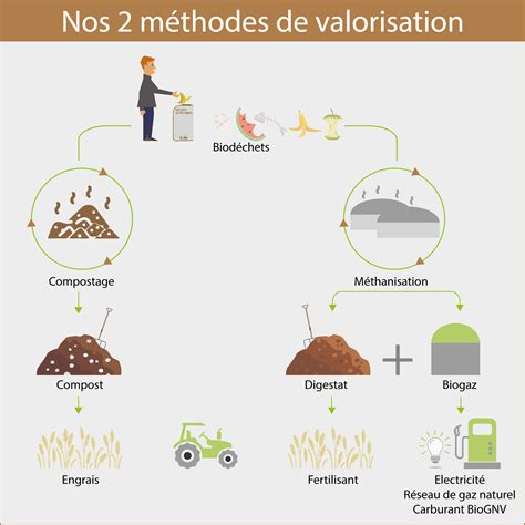 schéma de valorisation complète du porc