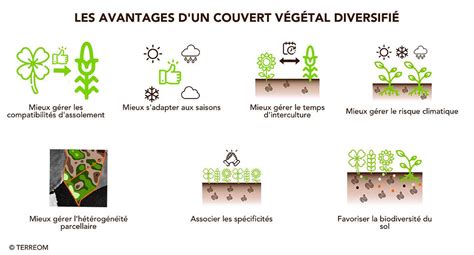 Infographie sur les avantages du broyage de végétaux