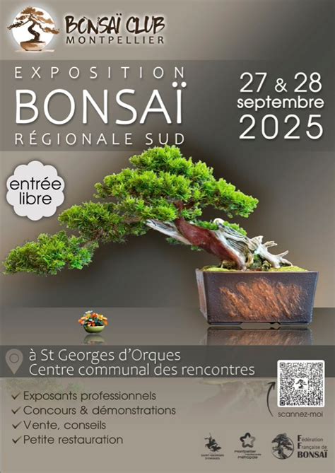 Ambiance d'une exposition de bonsaï avec des professionnels