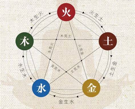 Diagramme des placements Feng Shui pour la Sansevieria