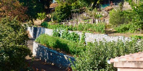 Jardin permaculturel avec buttes de culture et points d'eau