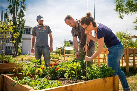 potager d'entreprise