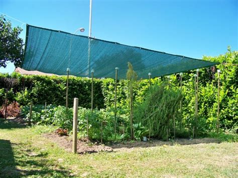 filet d'ombrage sur potager