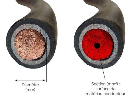 Coupe transversale d'un lien Toltex montrant les fils d'acier surmoulés