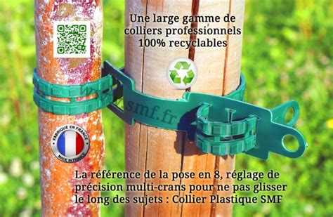 Exemple d'installation d'un collier de tuteurage en forme de 8