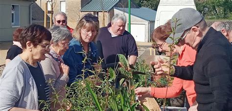 échange de plantes entre jardiniers amateurs