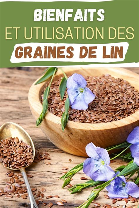 Infographie sur les bénéfices nutritionnels des graines de lin