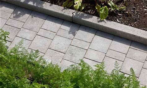 Bordures de béton dans un aménagement urbain