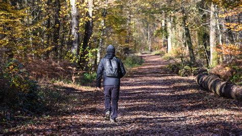 Promeneur en forêt à la recherche de champignons en automne