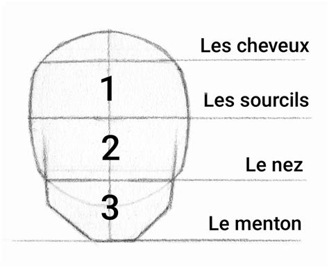Schéma des proportions universelles du visage humain