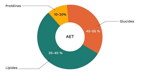 Graphique montrant l'apport en protéines nécessaire par rapport au poids corporel et à l'activité physique