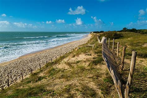 Paysage de la Charente-Maritime avec des hirondelles