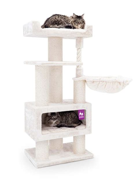 Arbre à chat Nobby Pet Santos en situation