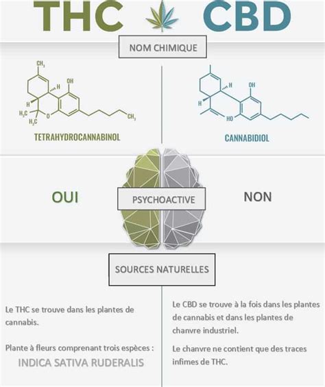 Diagramme comparatif des marchés légaux (CBD) et illégaux (cannabis) à Limoges