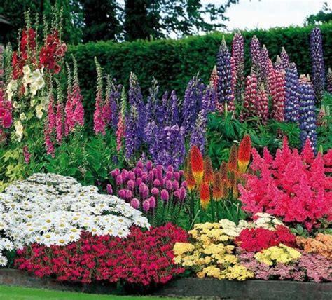 Exemple de parterre de fleurs coloré et bien agencé