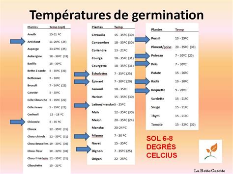 Diagramme des plages de température idéales pour la germination de différents légumes