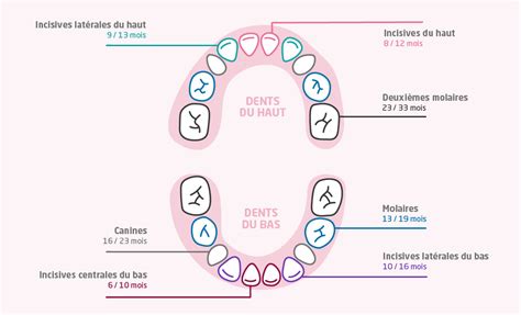 Illustration d'un sourire d'enfant avec des dents de lait