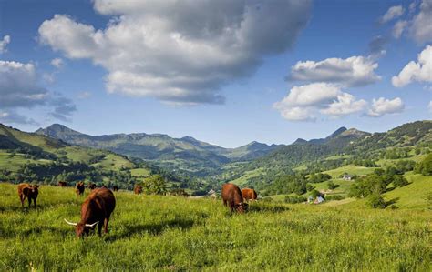 Paysage du Cantal avec une ferme