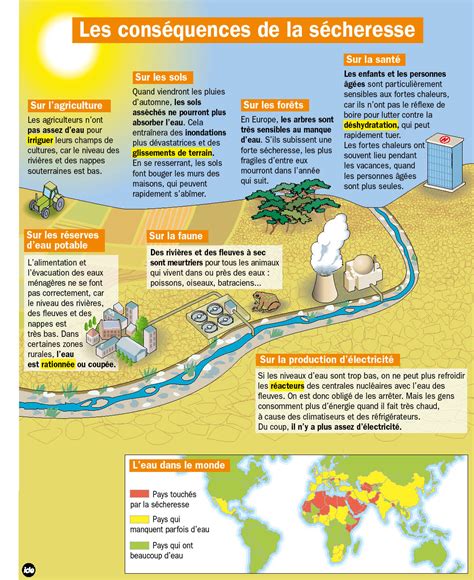 Diagramme illustrant l'impact de la sécheresse sur les plantes et les méthodes de conservation de l'eau