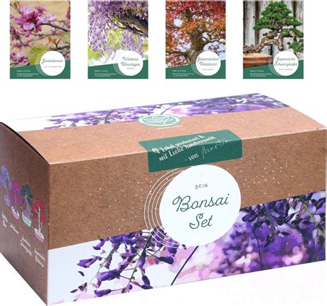 kit de culture bonsaï