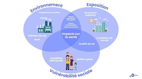 Diagramme illustrant l'impact des facteurs environnementaux sur la couleur des fleurs