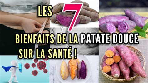 infographie sur les bienfaits de la patate douce et du céleri-rave
