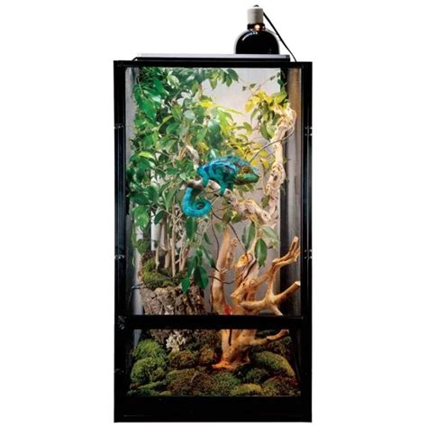 Exemple de flexarium adapté pour un caméléon