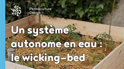 Schéma détaillé d'un potager avec réserve d'eau (wicking bed)