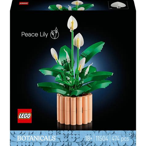 Vue d'ensemble des Fleurs de lune LEGO Botanicals dans leur pot couleur pêche