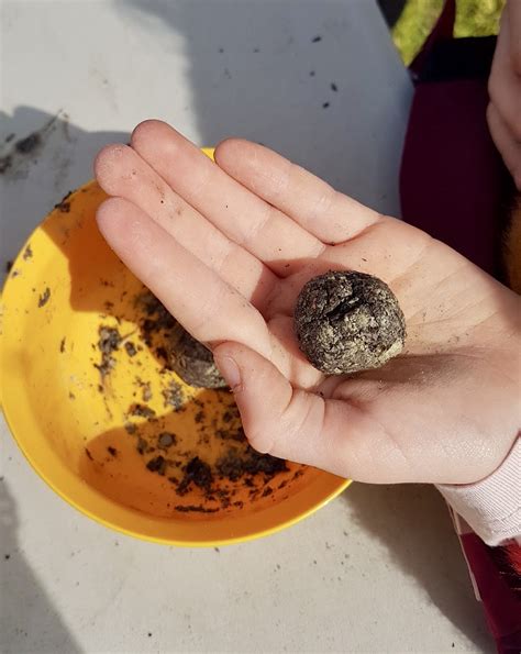 Enfants lançant des bombes à graines dans un espace urbain