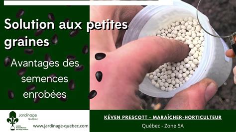 Graines enrobées d'argile