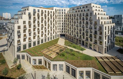 Friche urbaine colonisée par la végétation