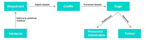 Schéma des différents acteurs dans une procédure de tutelle/curatelle
