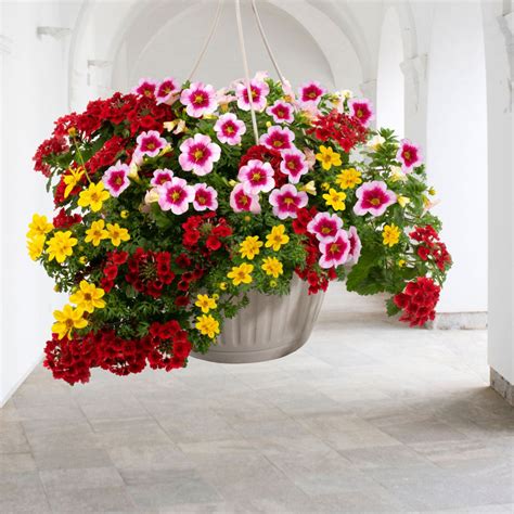 Panier suspendu fleuri