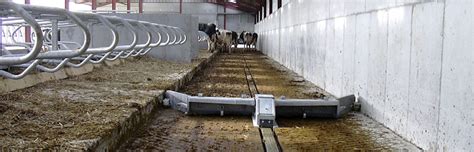 Installation d'un rail encastré pour racleur de fumier