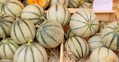 Melons miniatures prêts à être consommés individuellement