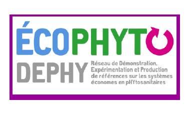 Logo du réseau DEPHY et illustrations de cultures maraîchères